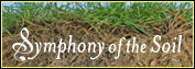 Symphony of the Soil